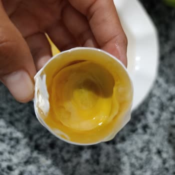 Aldığım Yumurtaların Bozuk Çıkması Nedeniyle Mağduriyet Yaşıyorum