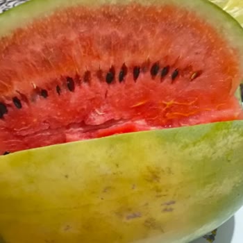 Şok Marketten Aldığım Karpuz Bozuk Çıktı, Ücret İadesi Talep Ediyorum