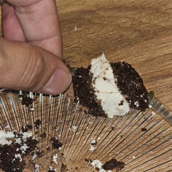 Satın Aldığım Pastadan Saç Çıkması Ve Güven Sorunu