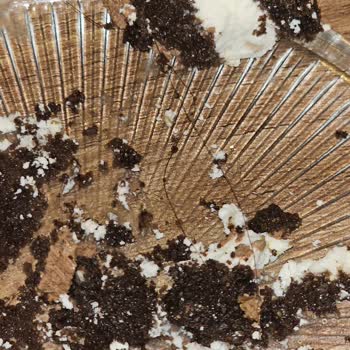 Satın Aldığım Pastadan Saç Çıkması Ve Güven Sorunu