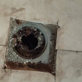 Temizlik Görevlisinin Davranışları Ve Çöp Toplama Konusunda Yaşanan Sorunlar