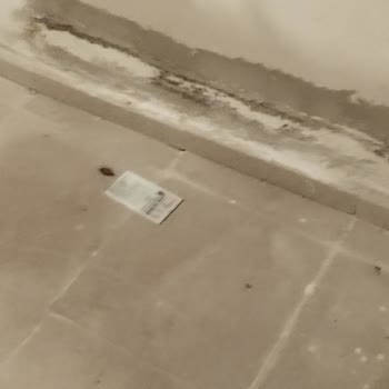 Temizlik Görevlisinin Davranışları Ve Çöp Toplama Konusunda Yaşanan Sorunlar