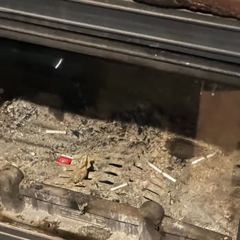 Otel Odalarında Temizlik Sorunu Ve Yoğun Örümcek Problemi