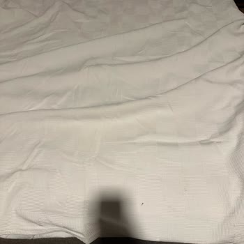 Otel Odalarında Temizlik Sorunu Ve Yoğun Örümcek Problemi