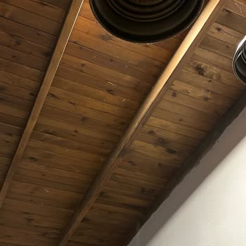 Otel Odalarında Temizlik Sorunu Ve Yoğun Örümcek Problemi