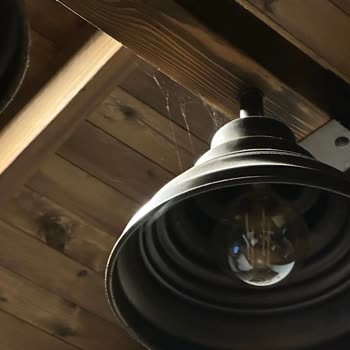 Otel Odalarında Temizlik Sorunu Ve Yoğun Örümcek Problemi