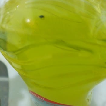 Lemoncity Deterjandan Böcek Çıktı