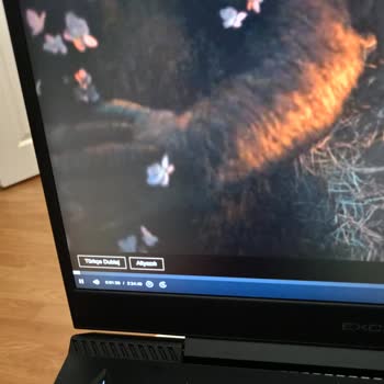 Türk Telekom Ev İnternetinde Sürekli Donma Ve Bağlantı Sorunları