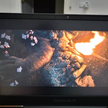 Türk Telekom Ev İnternetinde Sürekli Donma Ve Bağlantı Sorunları