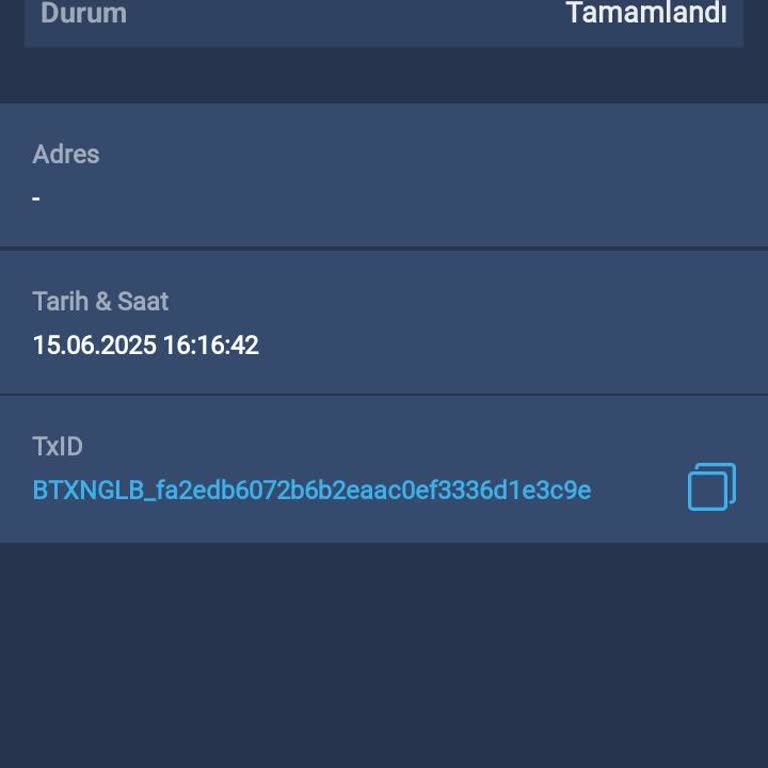 Cüzdanımdaki Varlıklar Bilgim Dışında Aktarıldı, Canlı Destek Yok