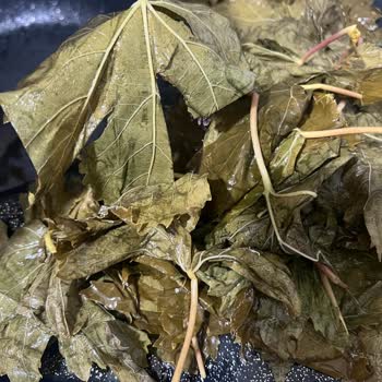 Görselden Farklı, Kalitesiz Ürün Ve İletişimsiz Satıcı Deneyimi