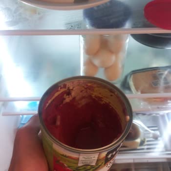 Buzdolabında Sürekli Bozulma Ve Küflenme Sorunu