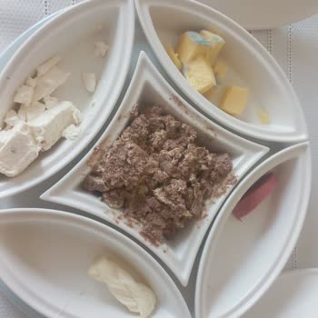 Buzdolabında Sürekli Bozulma Ve Küflenme Sorunu