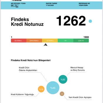 Findeks Puanımda Anlamsız Dalgalanmalar Ve Mavi Nokta Sorunu