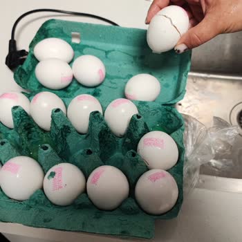 Sipariş Teslimatında Sürekli Gecikme Ve Kırık Ürün Sorunu