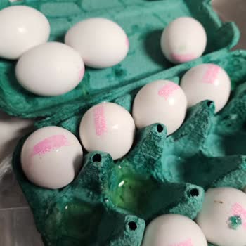 Sipariş Teslimatında Sürekli Gecikme Ve Kırık Ürün Sorunu