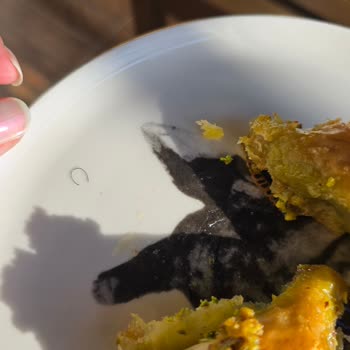 Şekerci Cafer Erol Tatlıda Demir Tel Ve Kıl Çıkması Hijyen Endişesi Yarattı!