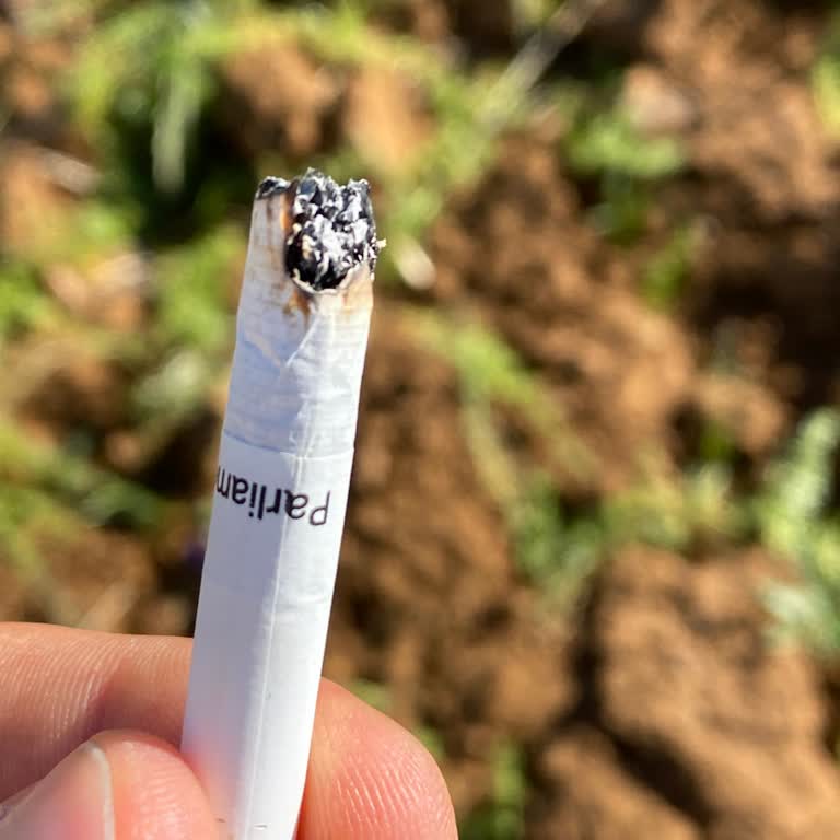 Parliament Sigaranın Kalitesi Düştü Saman Gibi Oldu