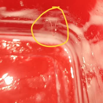 Algida Kaymaklı Kase Dondurmadan Plastik Parça Çıkması