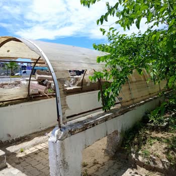 Denize Ulaşım Yolundaki Kötü Hijyen Koşulları Ve Güvenlik Sorunu