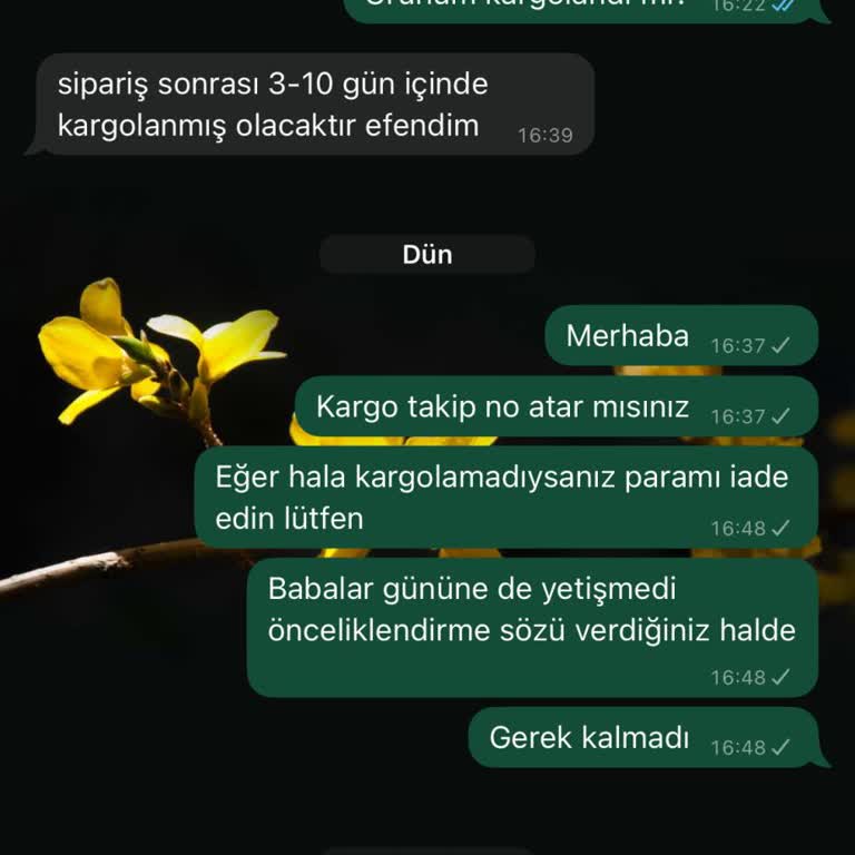 Siparişimin Teslim Edilmemesi Ve İletişimsizlik Nedeniyle Para İadesi Talebim