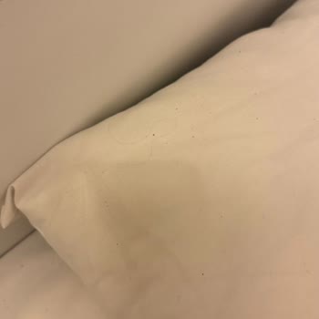 The Hello Hotel'de Temizlikten Eser Yoktu