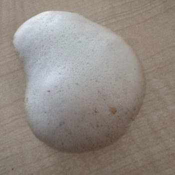 Titocar Temizleyici Köpükte Kullanım Sorunu Ve Kalite Problemleri