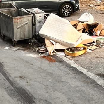 Çöp Konteyneri Yanındaki Atıkların Toplanmaması Ve Temizlik Sorunu