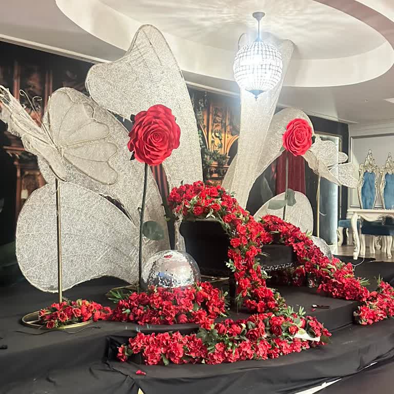 Anlaşılan Arka Plan Ve Hizmet Eksikliği Nedeniyle Hayal Kırıklığı