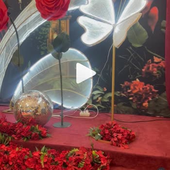 Anlaşılan Arka Plan Ve Hizmet Eksikliği Nedeniyle Hayal Kırıklığı