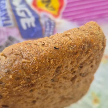 UNO Ekmekten Karınca Çıktı, Kontrol Edilmiyor Mu?