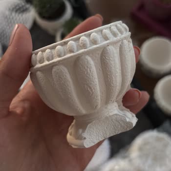 Nikah Öncesi Sukulent Siparişim Kırık Ve Alakasız Ürünlerle Teslim Edildi