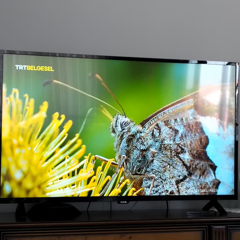 TRT Belgesel Kanalında Yüksek Sesli Müzik İzleme Keyfini Bozuyor