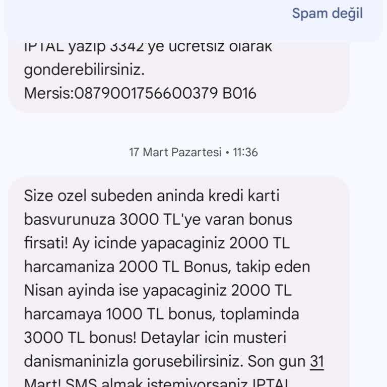 Promosyon Bonuslarım Zamanında Yüklenmedi