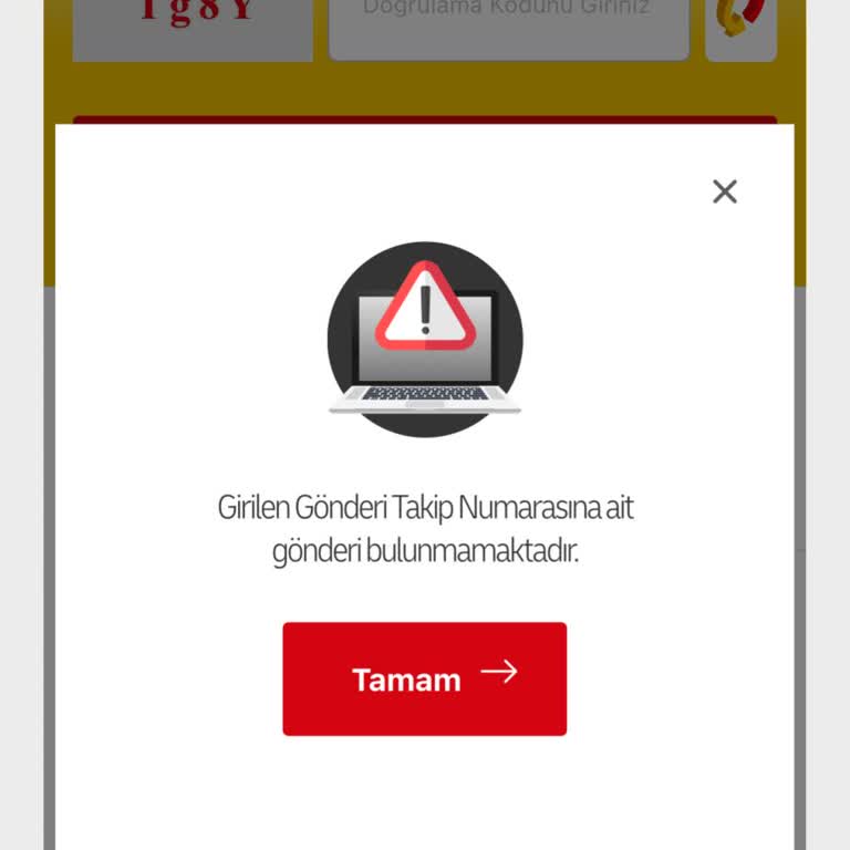 Kargo Takip Numarasıyla Siparişime Ulaşamıyorum, Destek Alamıyorum