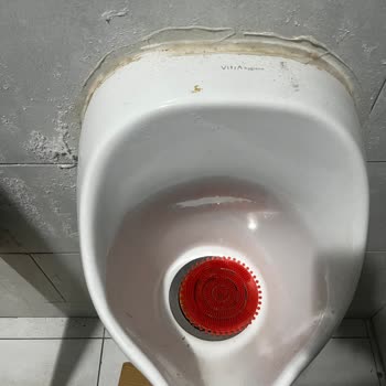 Kredi Kartı Komisyonu Ve Temizlik Sorunları