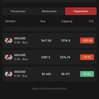Alternatif Menkul Yatırım Danışmanlarıyla Yaşadığım Mağduriyet Sonrası Paramı Geri Alamadım