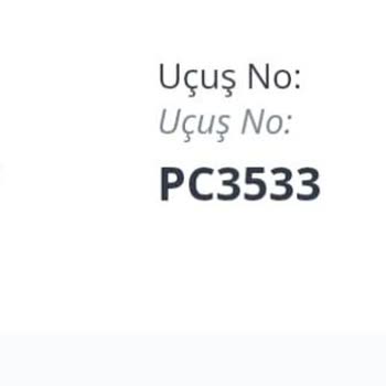 Pegasus Uçuşunda Rötar Ve Bagaj Tesliminde Yaşanan Sorunlar