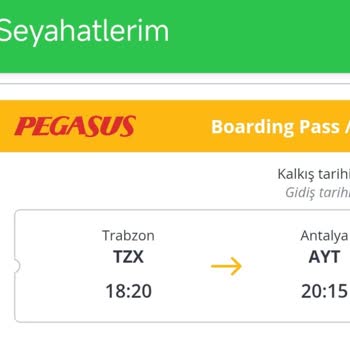 Pegasus Uçuşunda Rötar Ve Bagaj Tesliminde Yaşanan Sorunlar