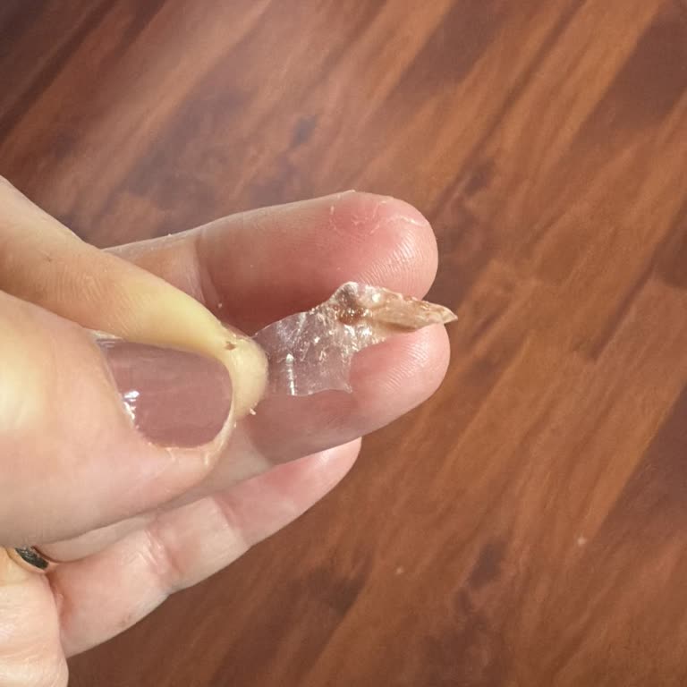 Mozaik Pastadan Çıkan Plastik Parça Şoku