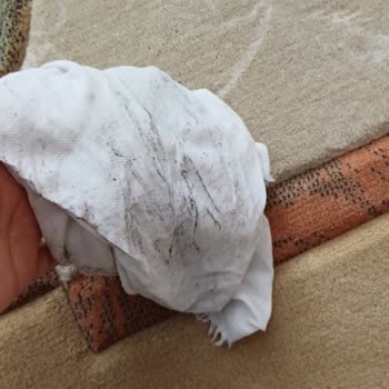 Yıkamadan Sonra Halılarım Daha Kirli Geldi