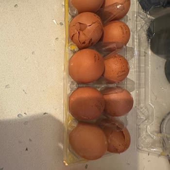 Kırık Yumurtalar Ve Yetersiz Müşteri Hizmeti Nedeniyle Mağduriyet