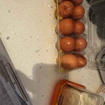 Kırık Yumurtalar Ve Yetersiz Müşteri Hizmeti Nedeniyle Mağduriyet