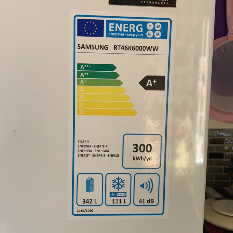 Samsung Refrigerator (Model: RT46K6000WW) and Poor After-Sales Service