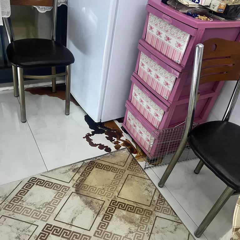 Derin Dondurucu Arızası Nedeniyle Evde Kalıcı Kötü Koku Ve Mağduriyet Yaşadım