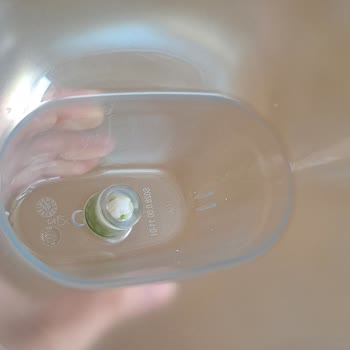 Brita Sürahi Filtrelerinde Yosunlaşma Ve Kötü Tat Sorunu