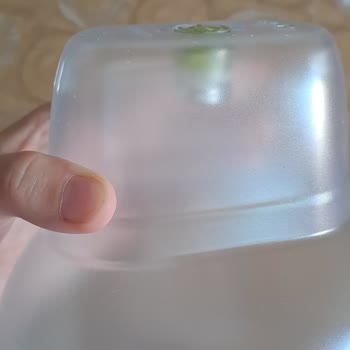 Brita Sürahi Filtrelerinde Yosunlaşma Ve Kötü Tat Sorunu