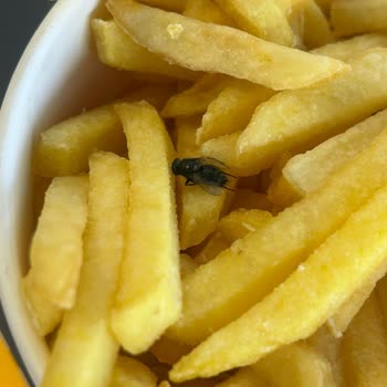 Burger King Restoranda Hijyen Ve Hizmet Sorunları!