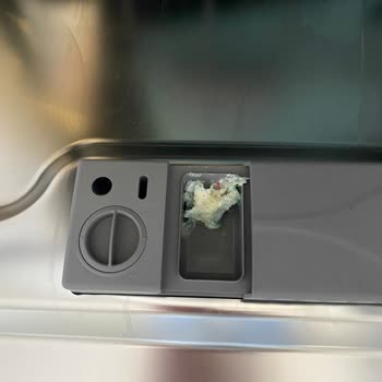 Samsung Bulaşık Makinesi Sorunlarıma Çözüm Bulamıyorlar