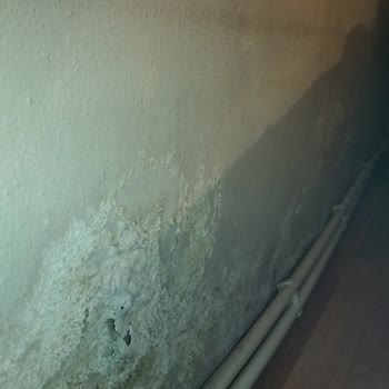 Aksigorta Eksper Ve İletişim Sorunları Nedeniyle Evdeki Hasarım Giderilemiyor